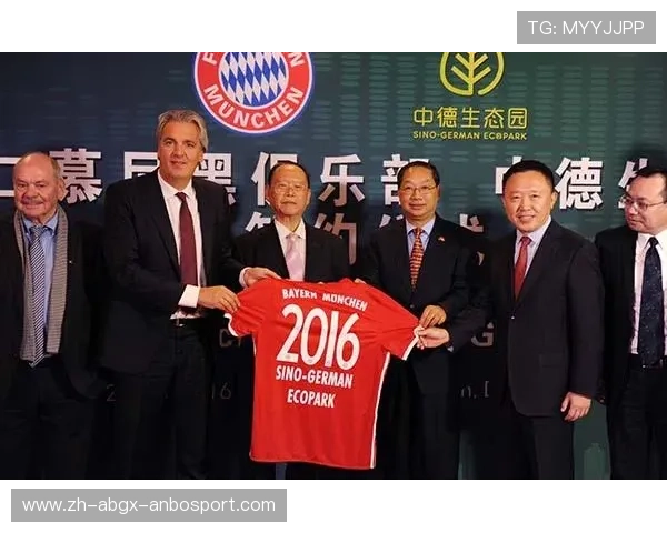 德甲各球队背后的主要金主及资本运作分析